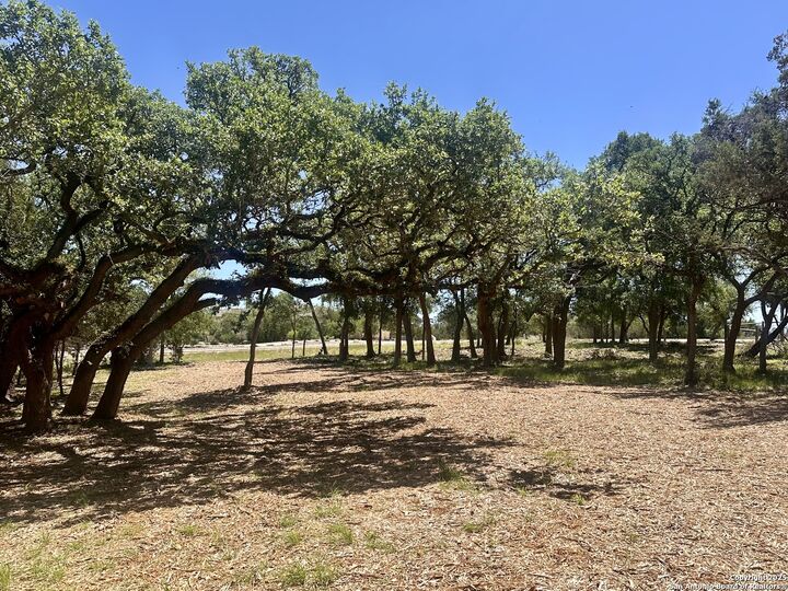 Property Photo:  288 Scenic Canyon  TX 78132 