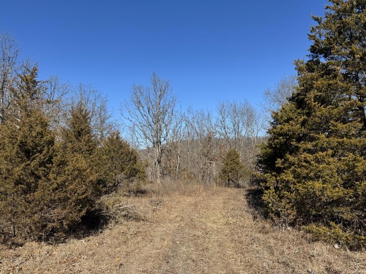 Property Photo:  000 Cottengim Road  MO 65702 