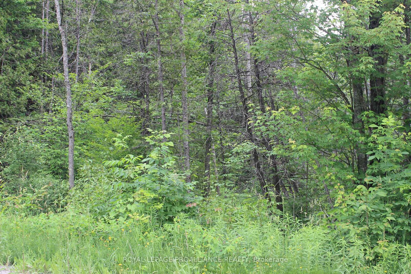 Property Photo:  Pt Lt 11 Rcp 2312 N/A  ON K0L 1C0 