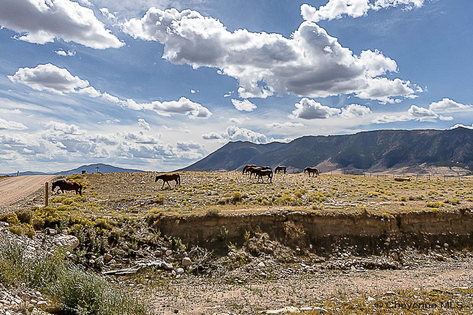 Property Photo: Tr 91 Wild Horse Ranch WY 82070