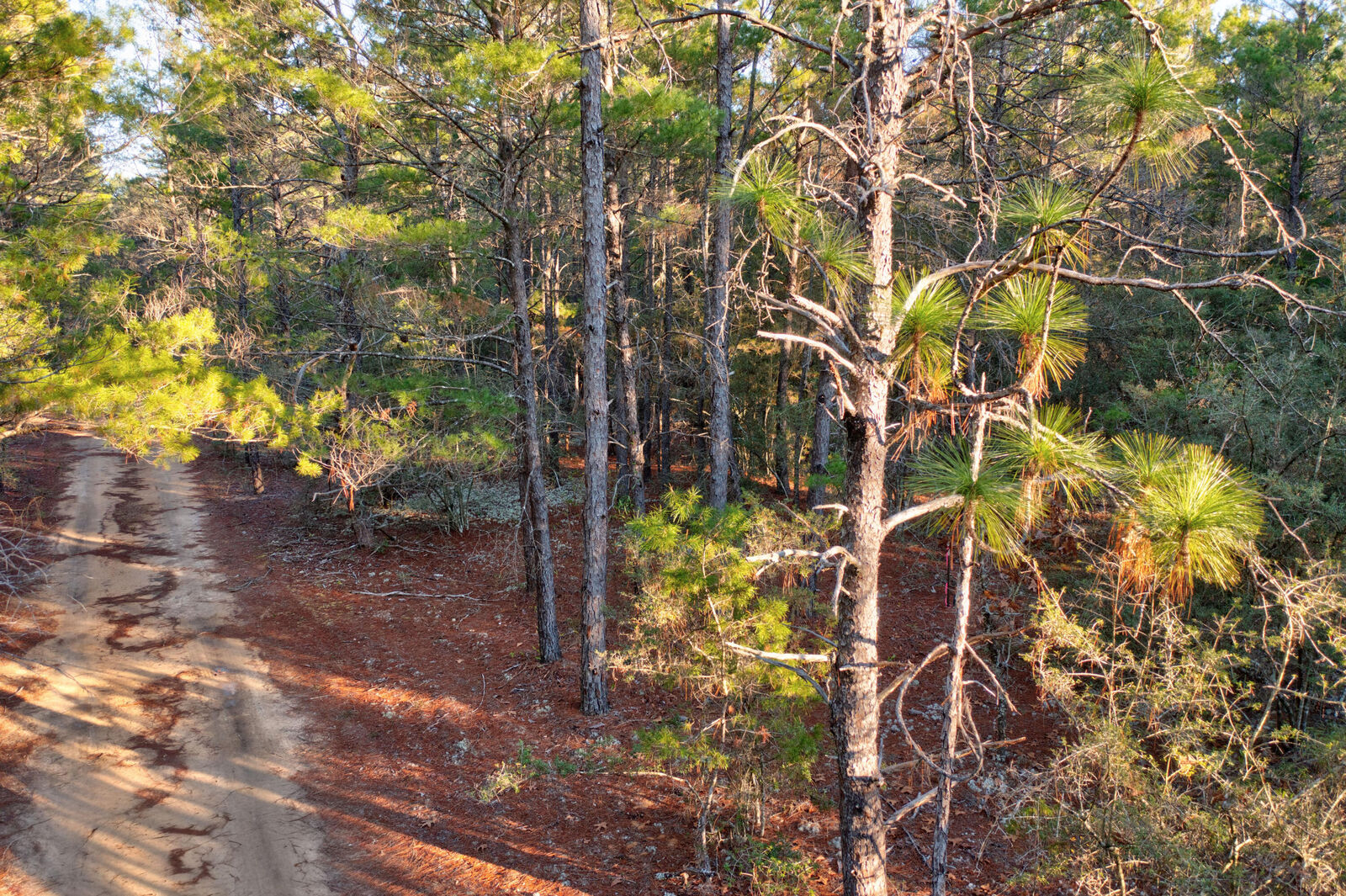 Property Photo:  .92 Duke Drive  FL 32433 