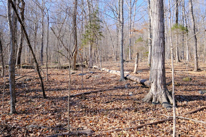 Property Photo: 166 Regal Avenue KY 42501