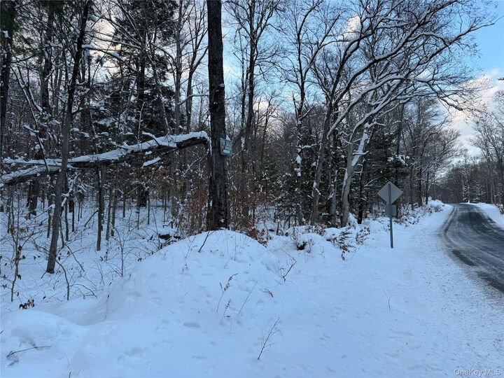 Property Photo:  00 Starlight Road  NY 12701 