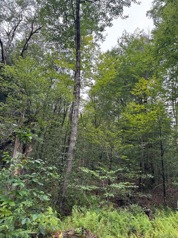 Property Photo:  00 Starlight Road  NY 12701 