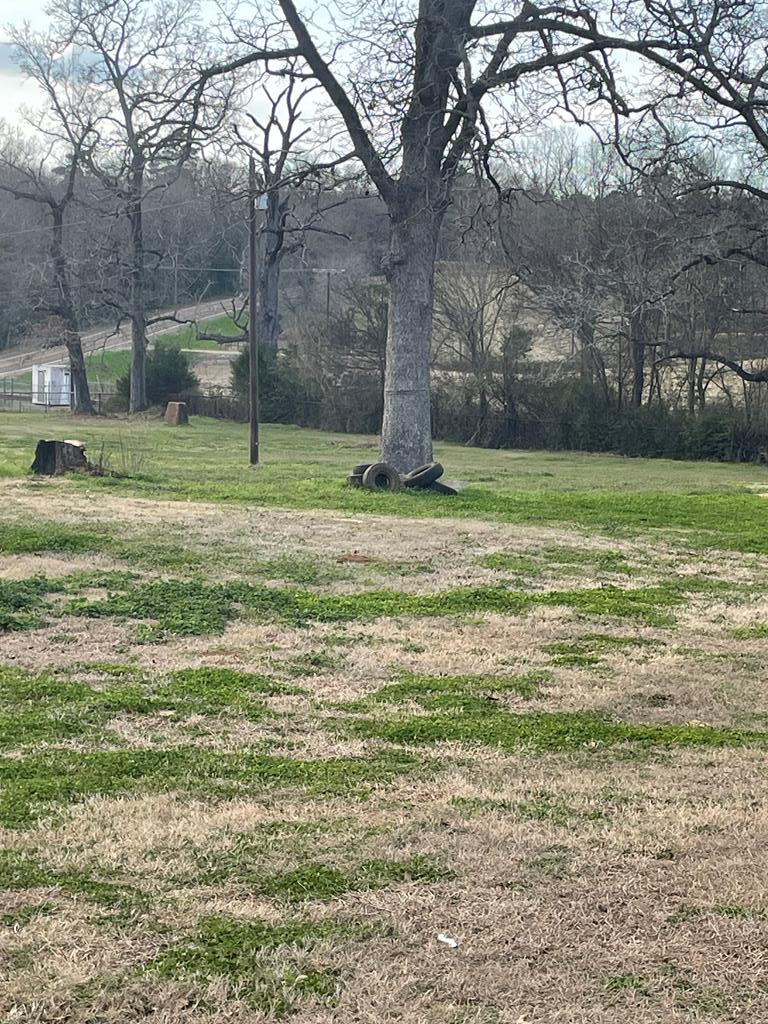 Property Photo:  203 Fm 2476  TX 75946 