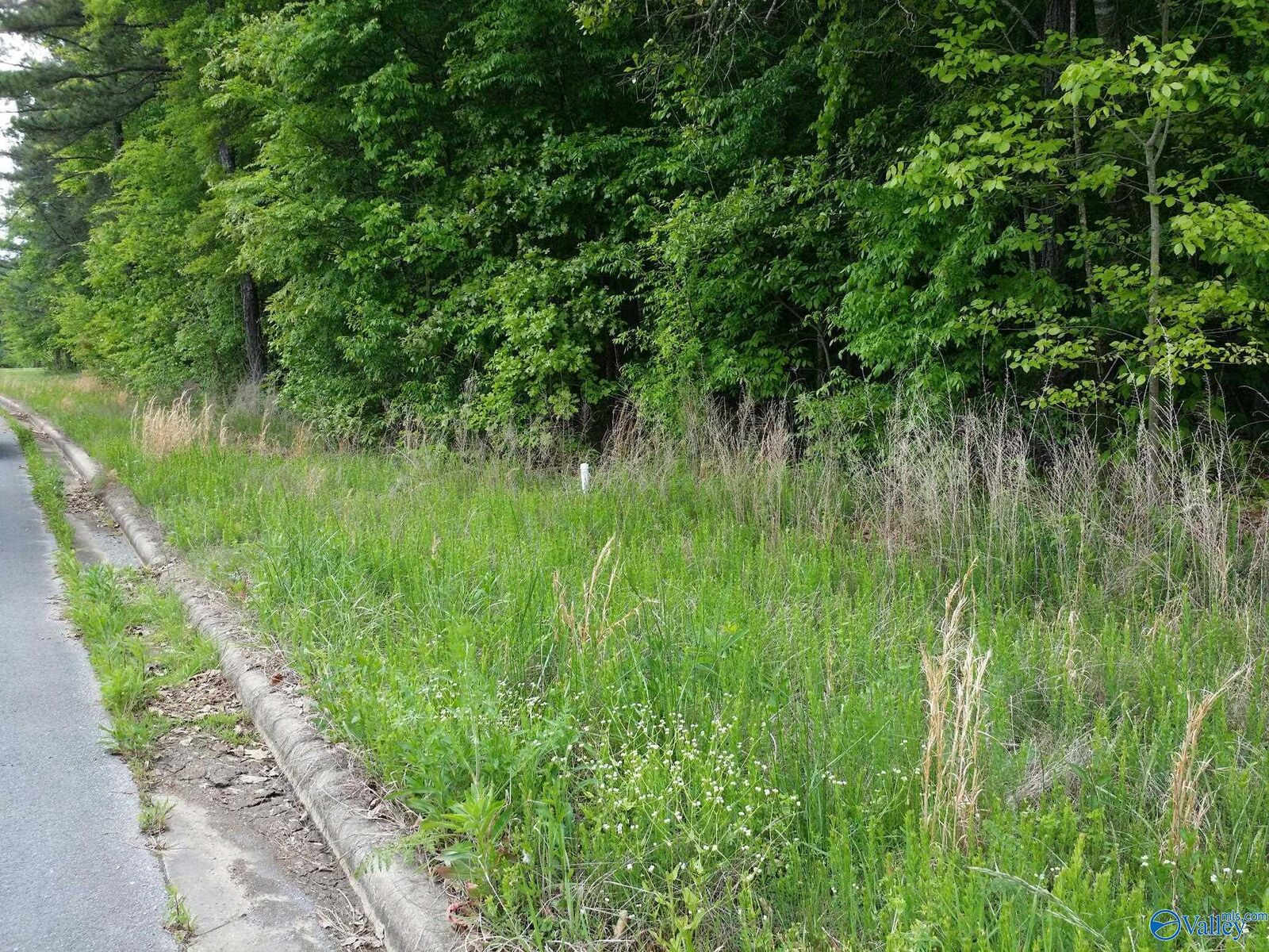 Property Photo:  1180B County Road 155 2 Acres  AL 35966 