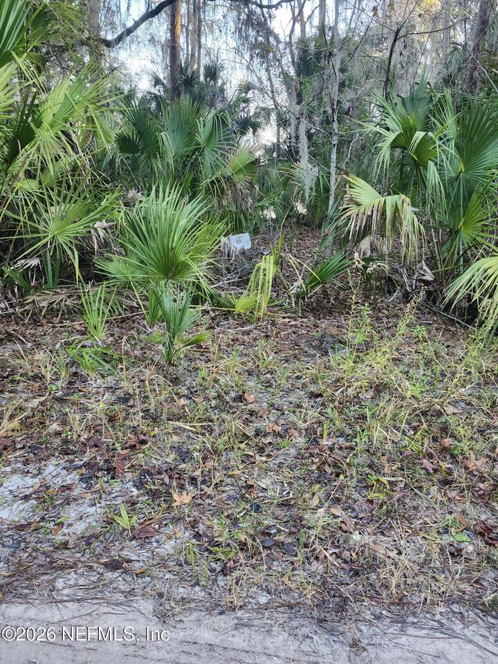 Property Photo:  00 Drayton Island  FL 32112 