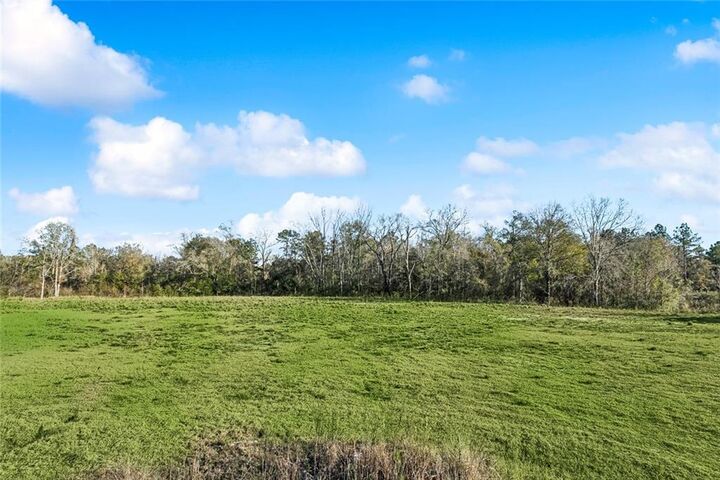 Property Photo: 12572 Goldentop Drive LA 70433