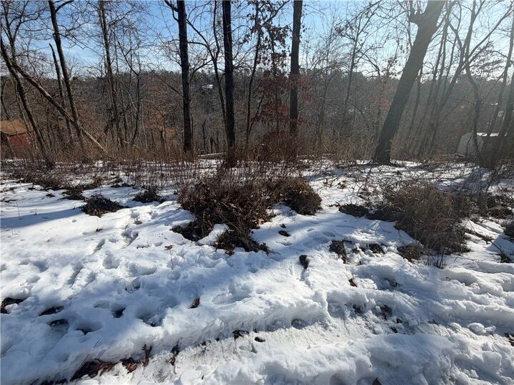 Property Photo:  Lots 1241/1242 Cottonwood Lane  AR 72756 