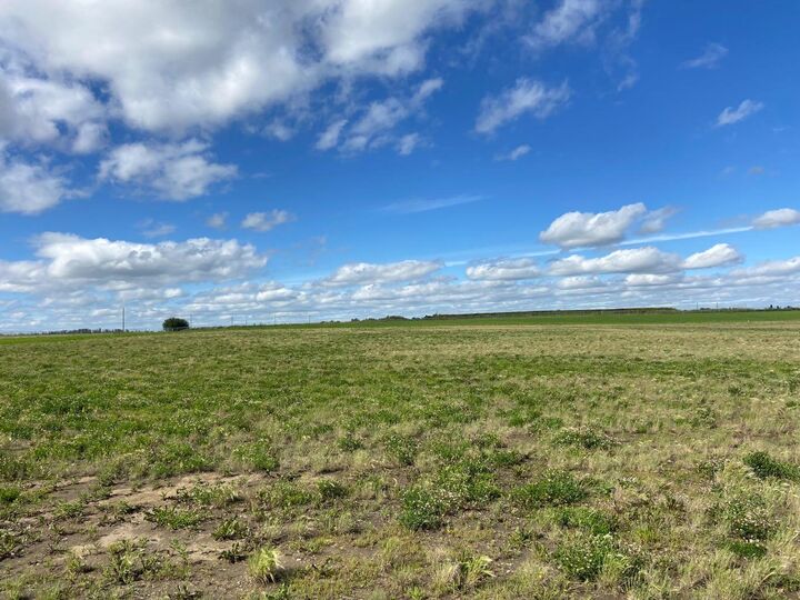 Property Photo: 6 431029 Range Road 261 AB T4J 1R4