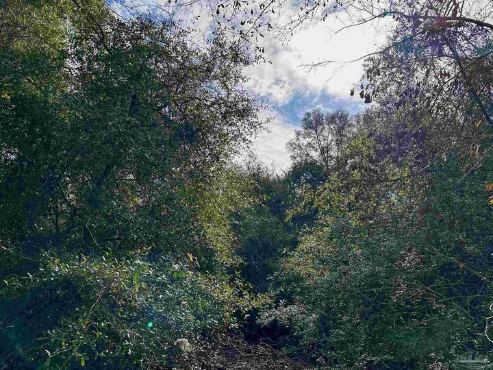 Property Photo:  400 Blk N Century Blvd  FL 32568 