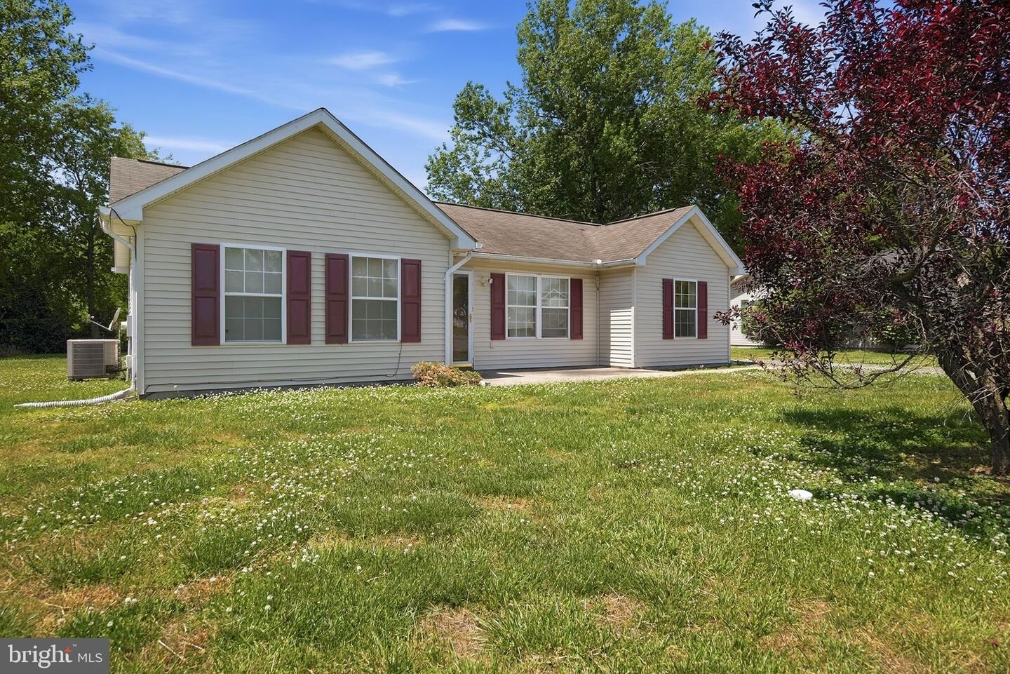 Property Photo: 25044 Travis Trail MD 21678