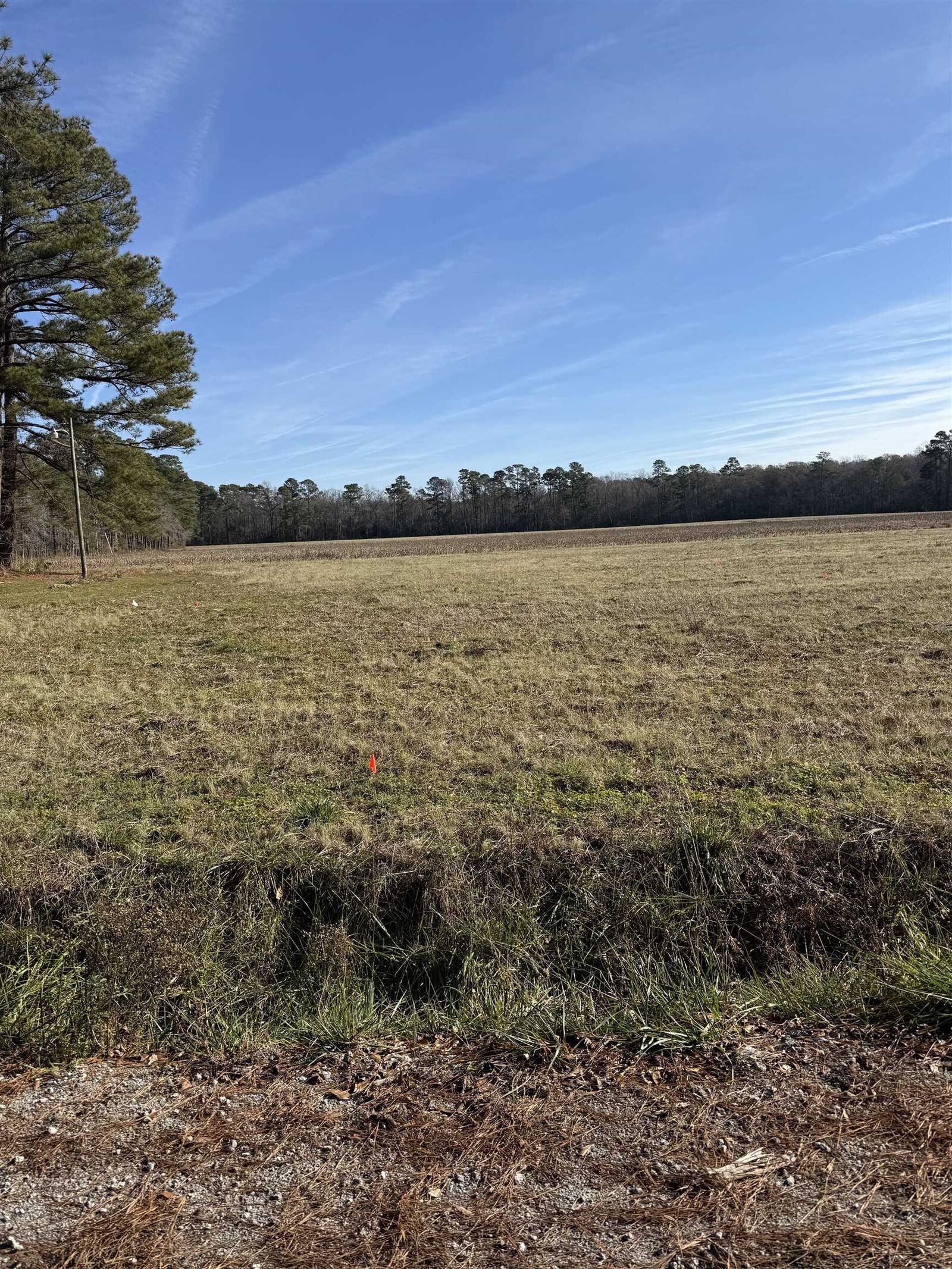 Property Photo: Lot 6 Johnson Shelley Rd. SC 29526