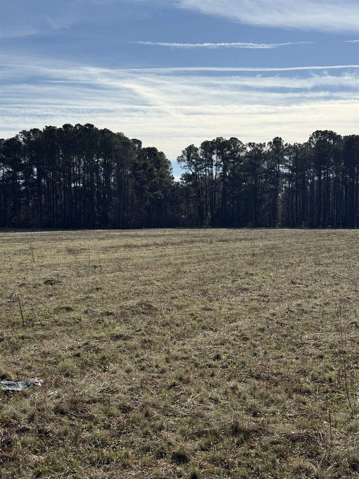 Property Photo: Lot 4 Johnson Shelley Rd. SC 29526