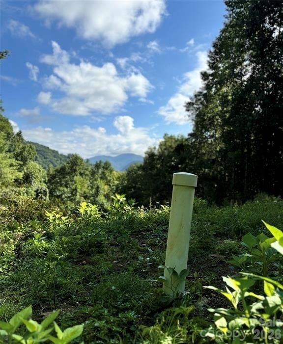 Property Photo:  350 Scotts Trail  NC 28743 