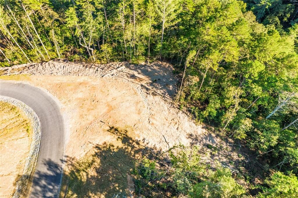 Property Photo:  0 Canoe Point  GA 30540 