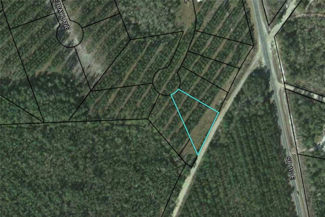 Property Photo:  Lot 34 Landing Trail  GA 31566 
