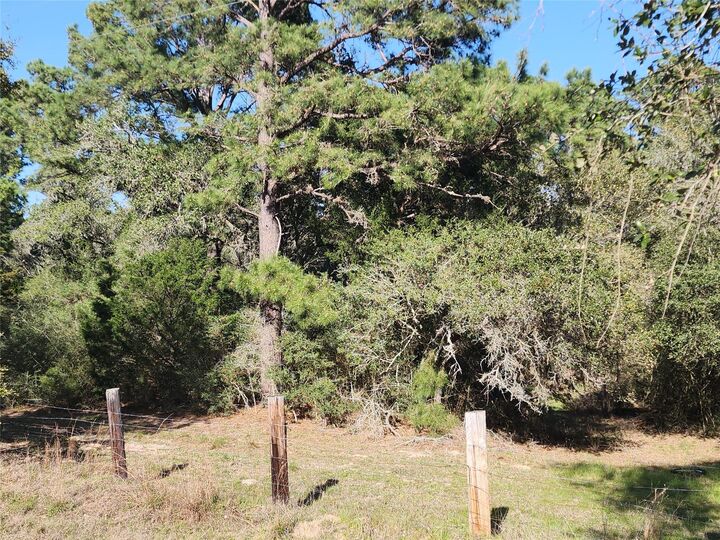 Property Photo: Tbd Fm-3283 TX 77964