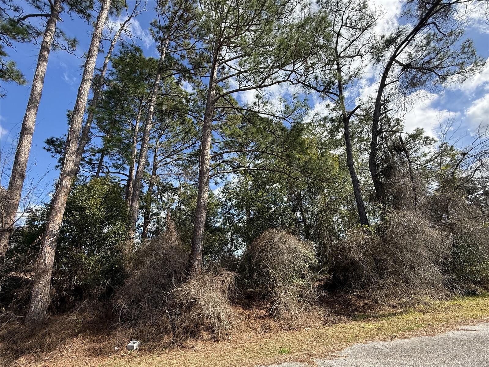 Property Photo: Tbd SE 190th Avenue FL 34488