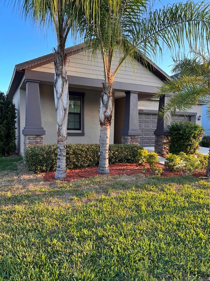 Property Photo:  10616 Great Cormorant Drive  FL 33579 