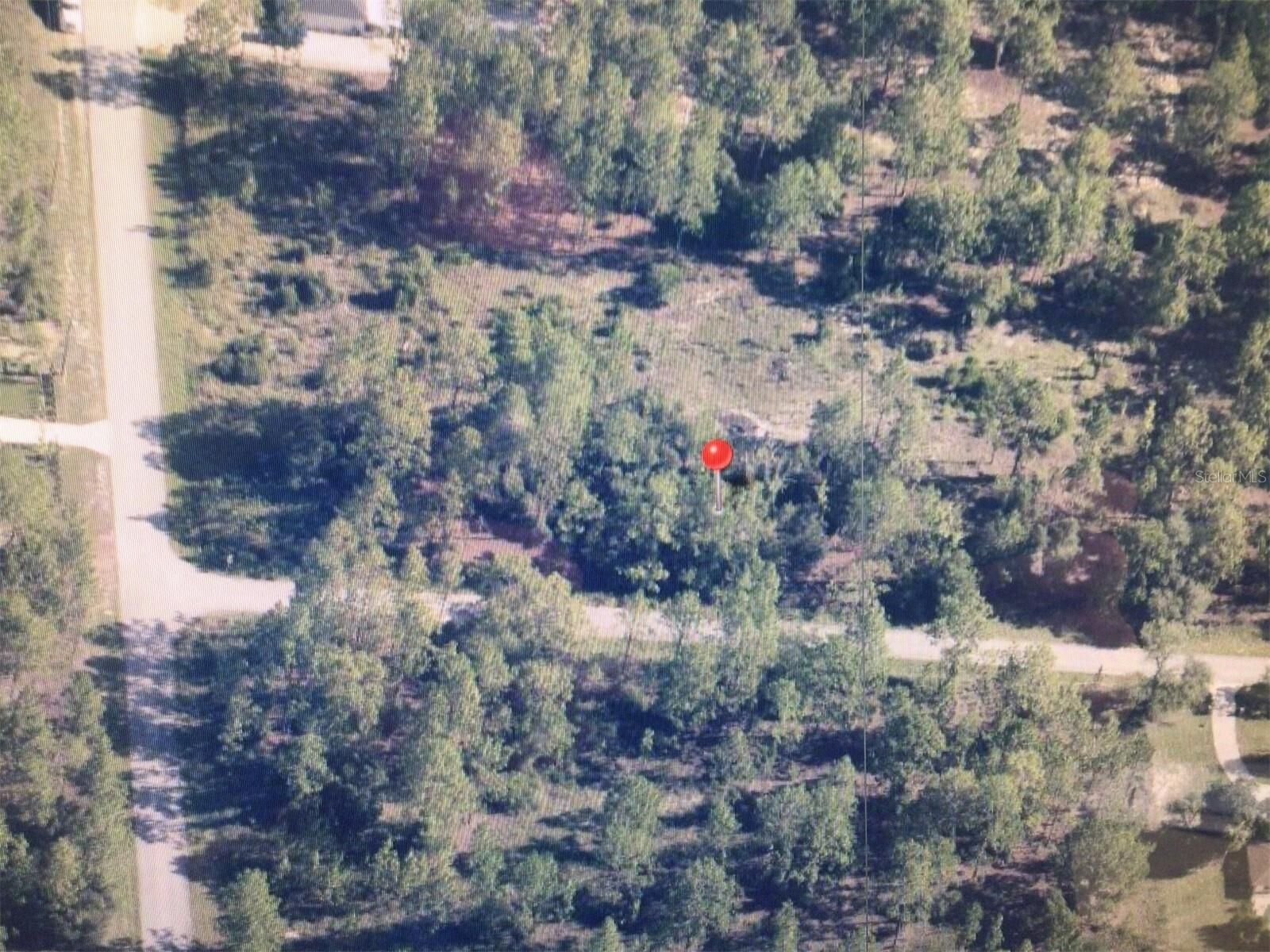 Property Photo:  0 SW 209 Avenue  FL 34431 