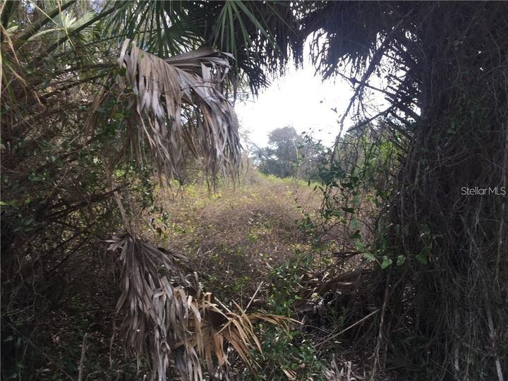 Property Photo:  Lot 9 Honeycomb Circle  FL 34291 