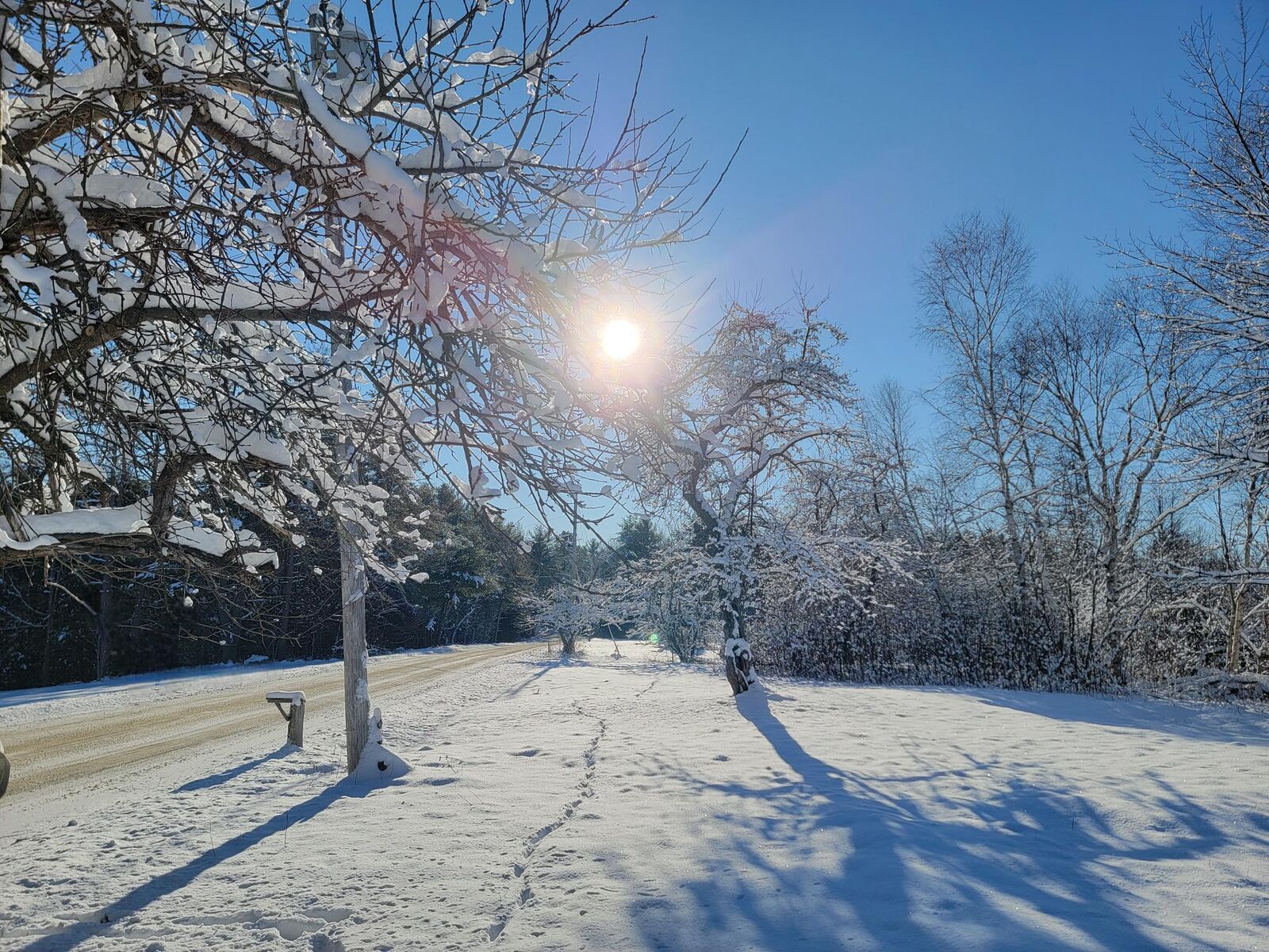 Property Photo: 4-8 Macomber Mill Road ME 04634