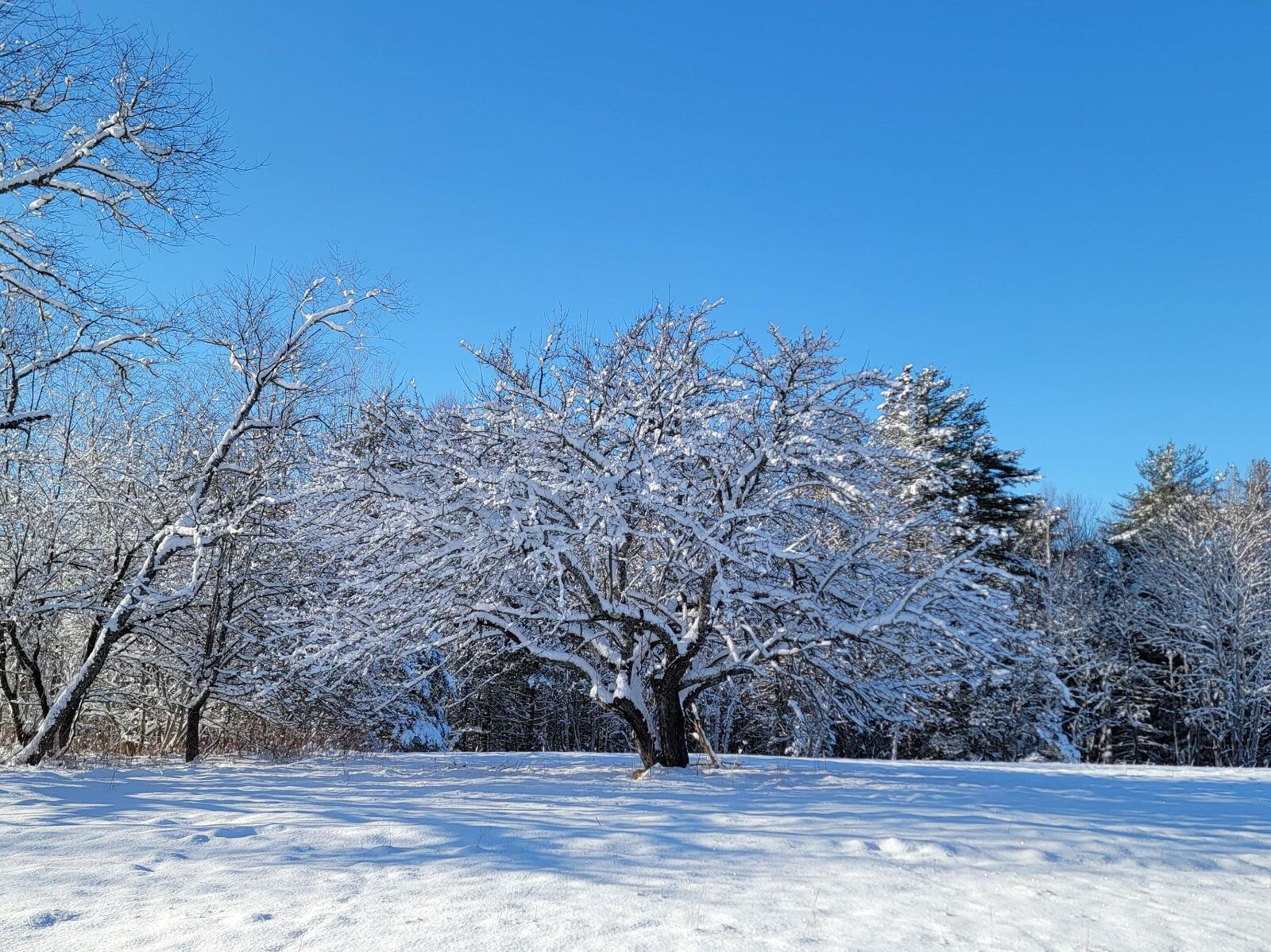 Property Photo:  4-8 Macomber Mill Road  ME 04634 