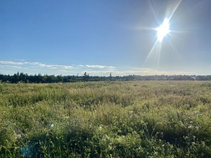 Photo de la propriété:  15 Rose Lane  PE C0A 1E0 