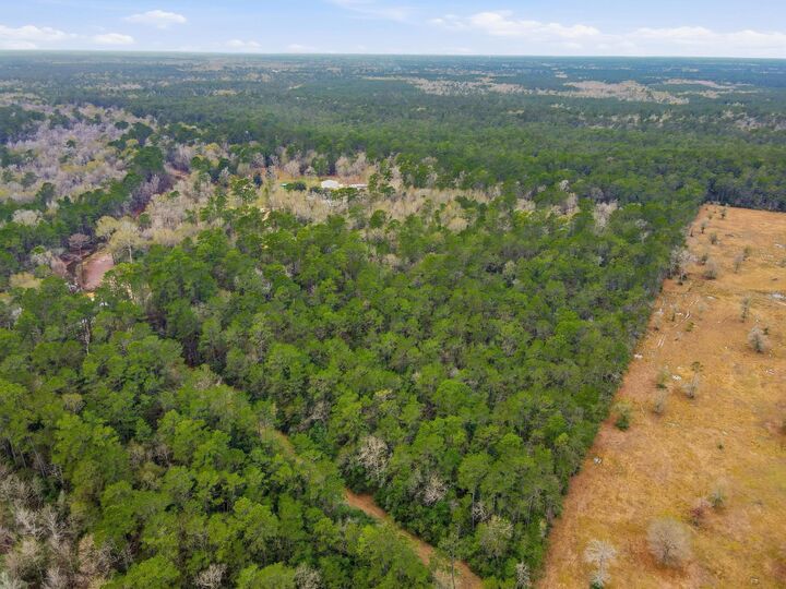 Property Photo:  7965 Hwy12  TX 77632 