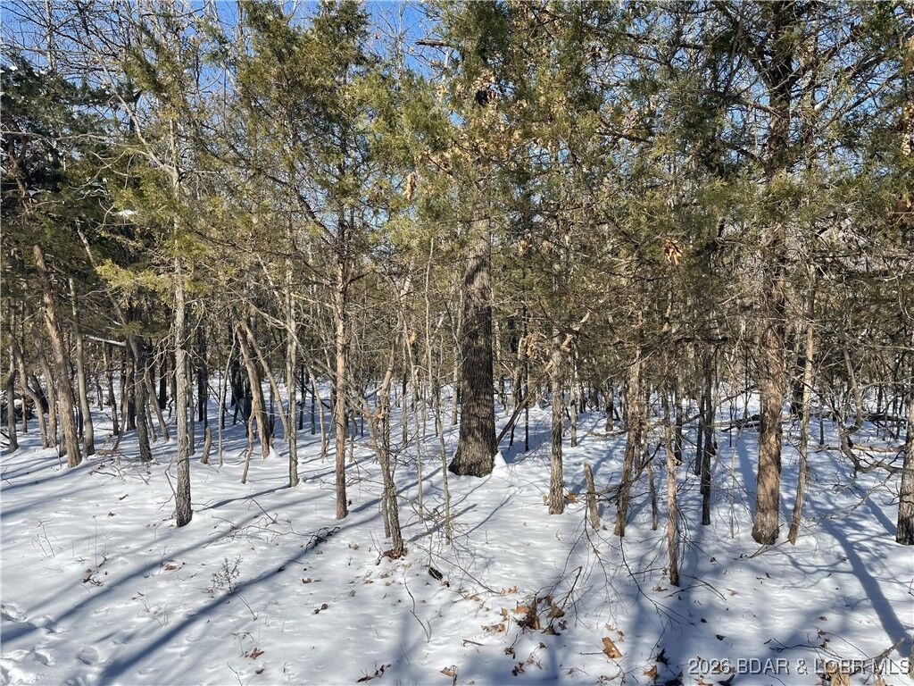 Property Photo: Nile Road MO 65078