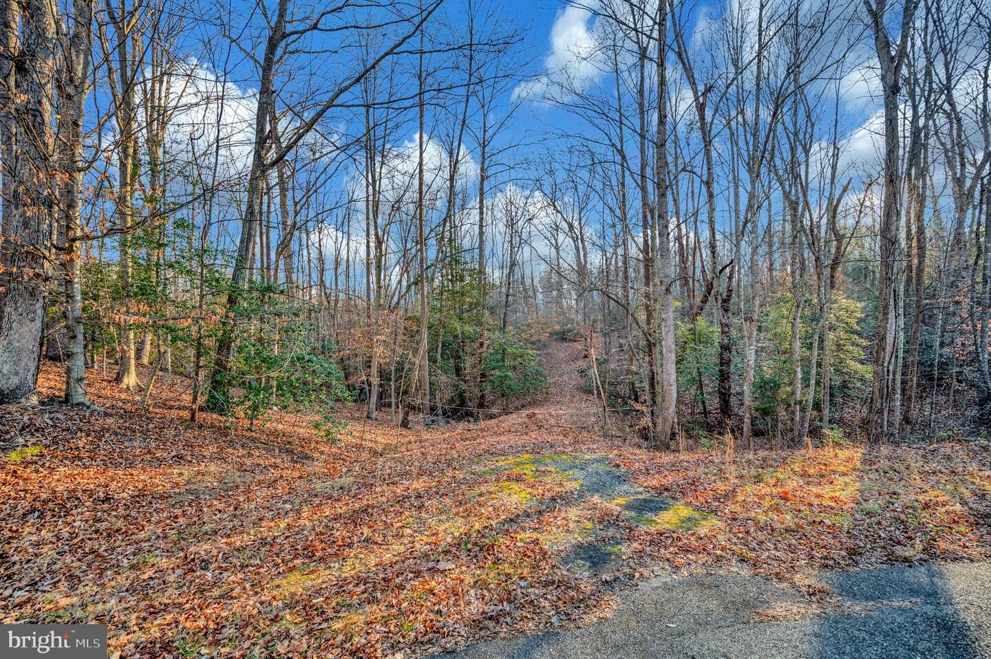 Property Photo:  93 Dent Road  VA 22554 