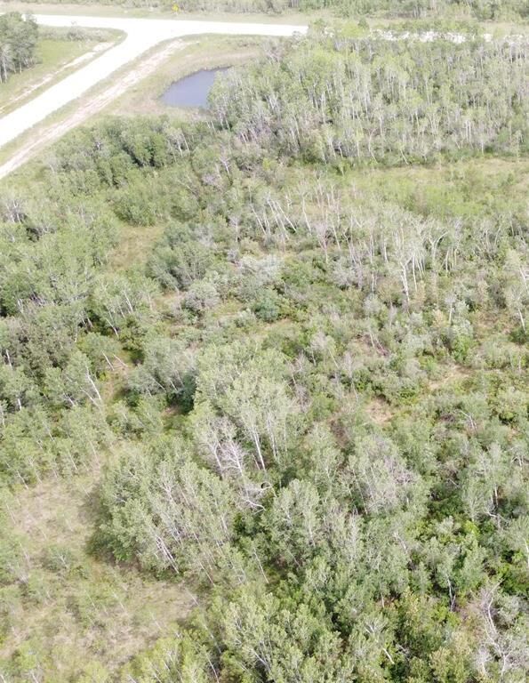 Photo de la propriété:  1 12 Road North  MB R0A 1P0 