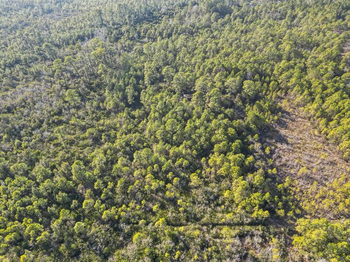 Property Photo: Tbd Sugar Bowl Ln. SC 29568