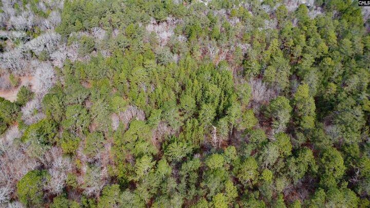 Property Photo: 46 Timberline SC 29020