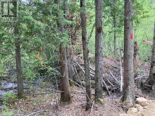 Lot 28 Concession 11 — photo 1