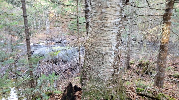 Property Photo:  Lot 11 Fox Run  ME 04605 