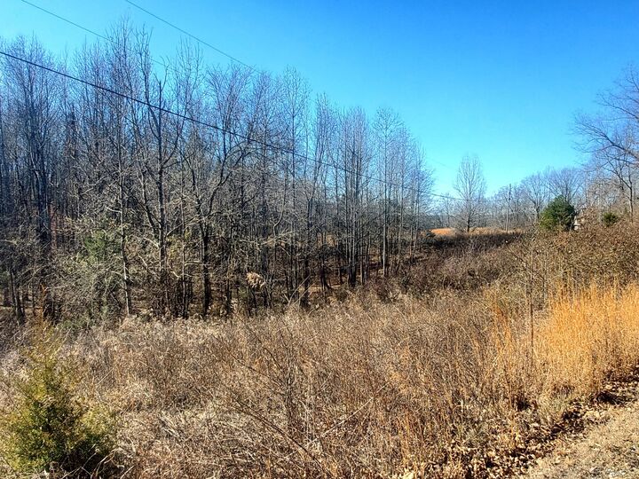 Property Photo: 0 Summer Breeze Dr TN 37166