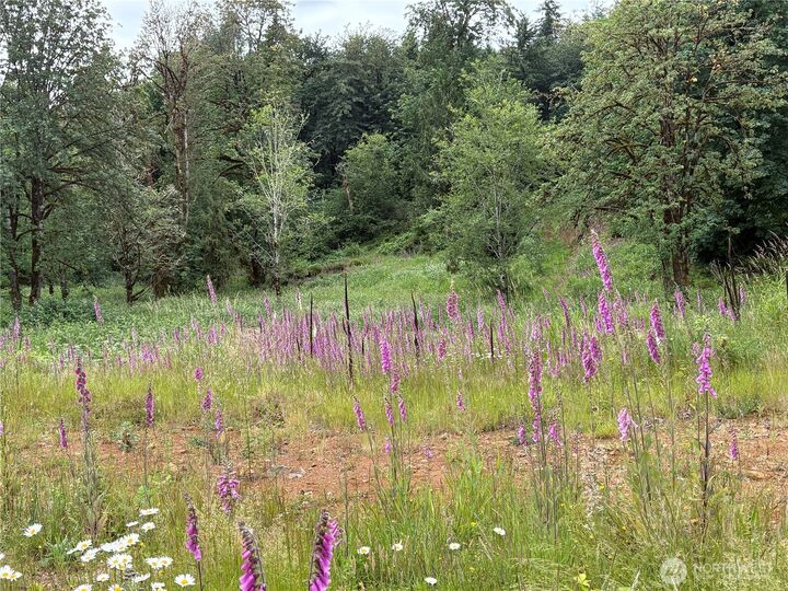Property Photo:  155  Benson Lane  WA 98611 