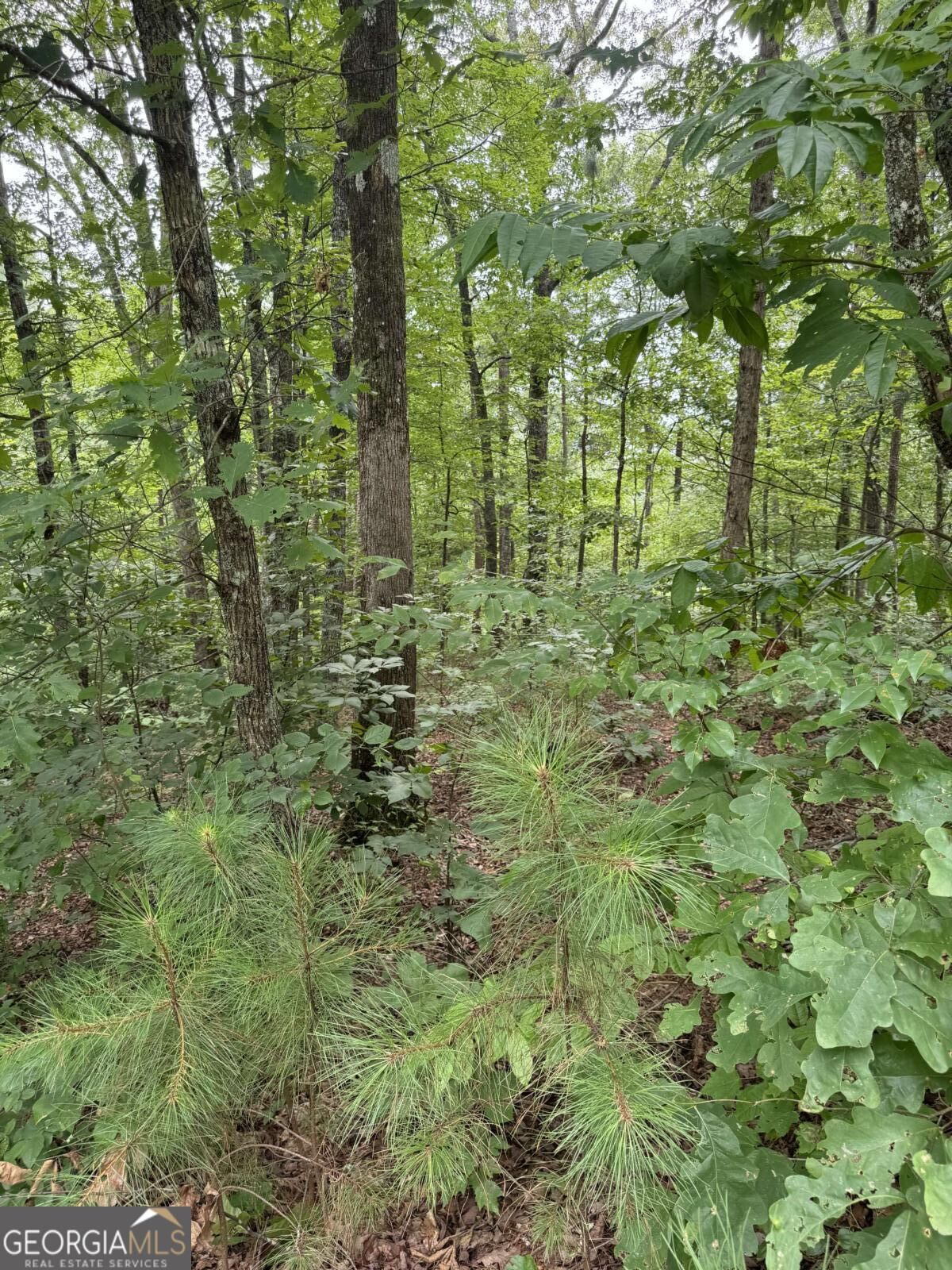 Property Photo: Lot 5 Harris Creek Drive GA 30540