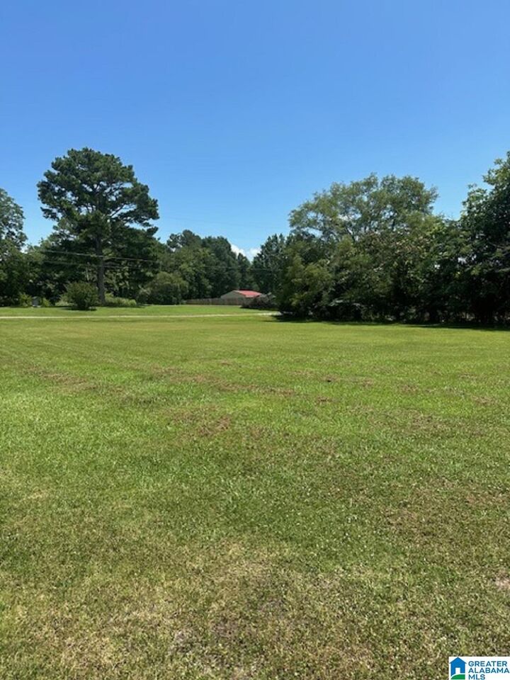 Property Photo: 0 County Road 437 0 AL 35057