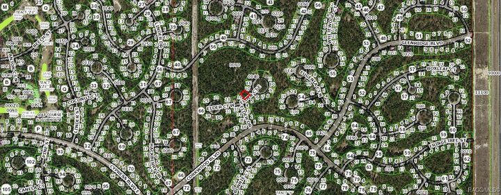 Property Photo:  4 Elder Court E  FL 34446 