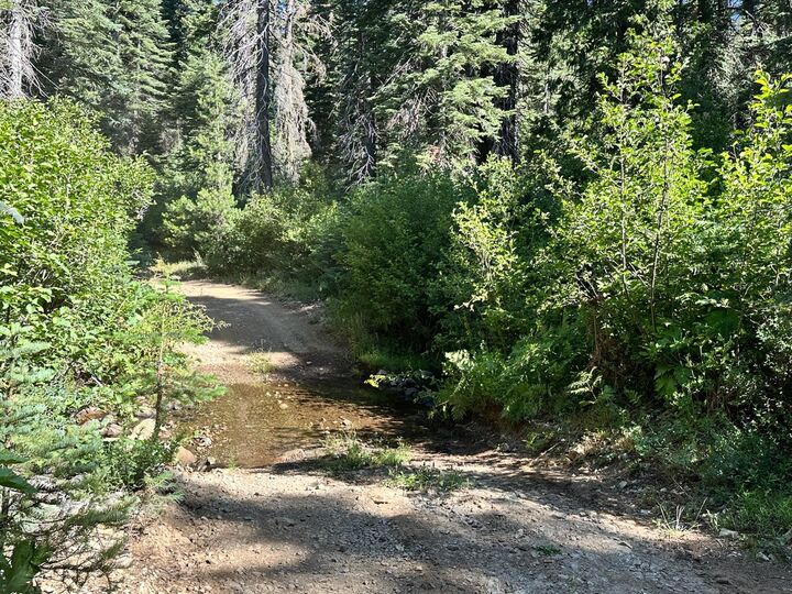 Property Photo: 19231 Marsh Mill Road CA 95959