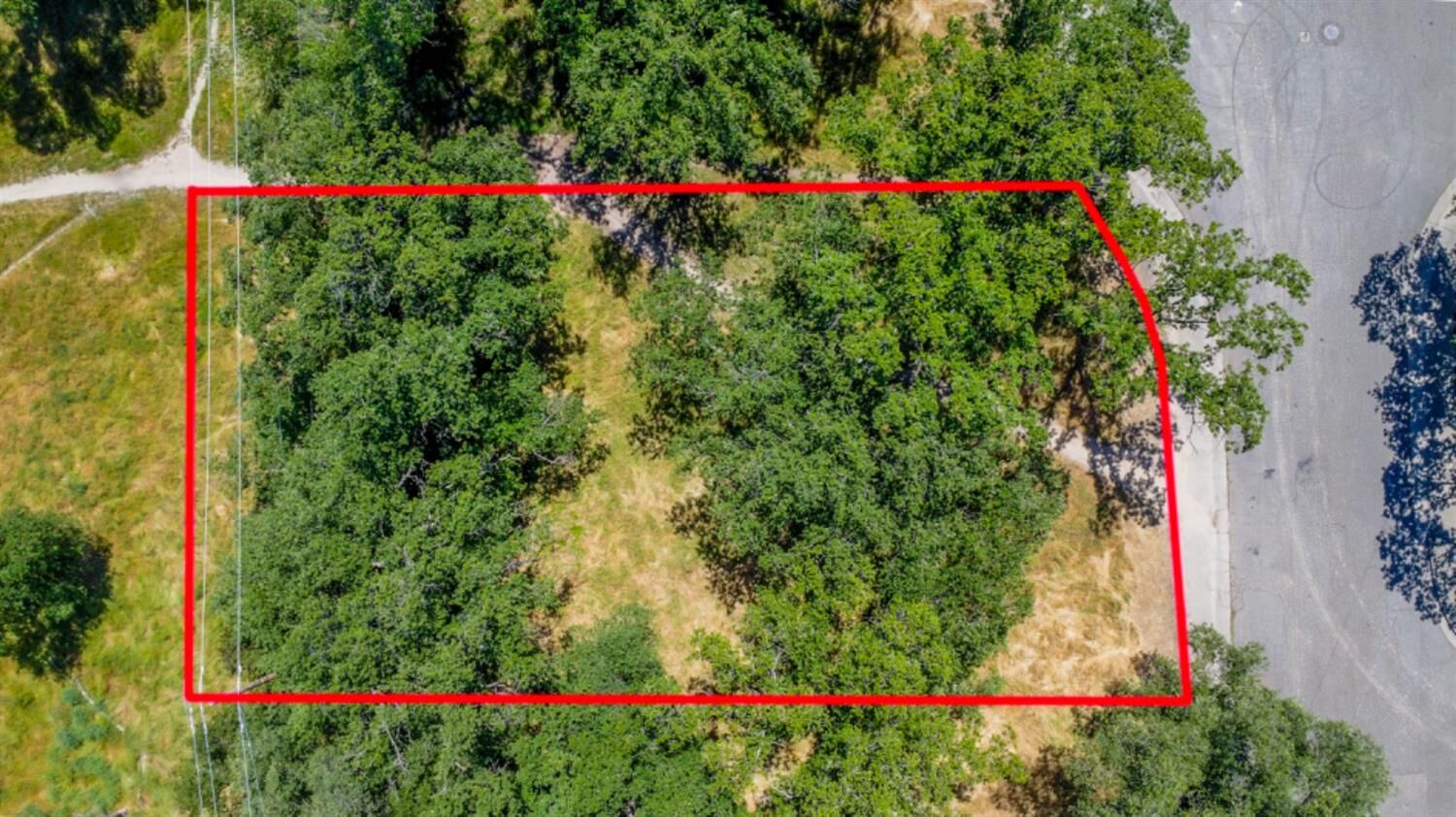 Property Photo:  1215 Meadow Lane  CA 95661 