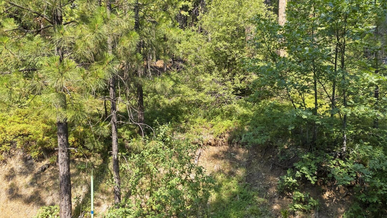 Property Photo:  25352 Rebekah Road  CA 95346 
