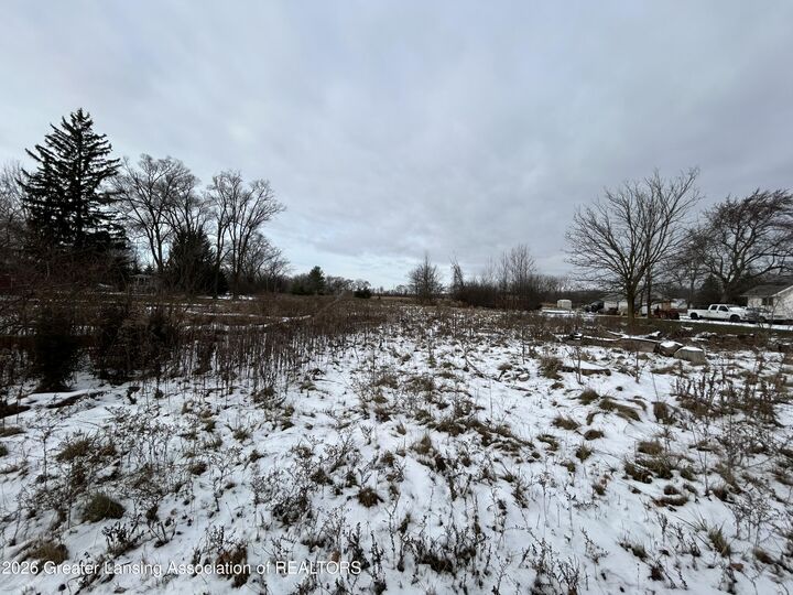 Property Photo:  0 S Poseyville Road  MI 48640 