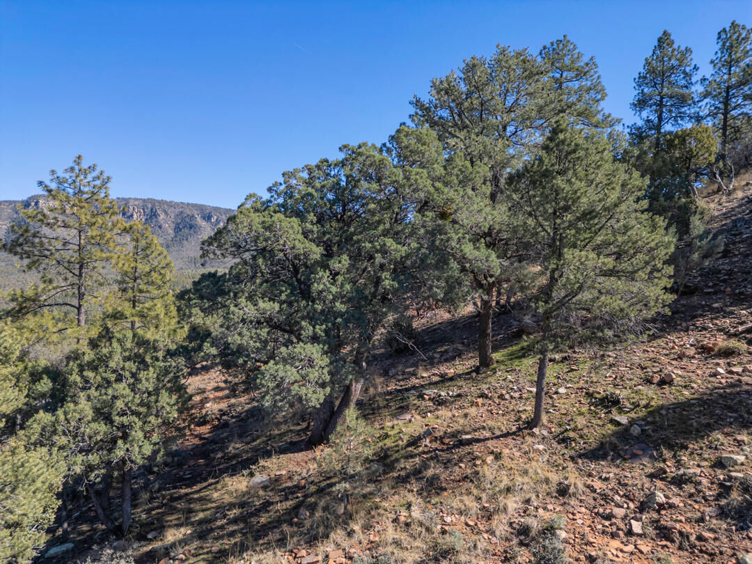 Property Photo:  Lot 163 N Portal Drive  AZ 85544 