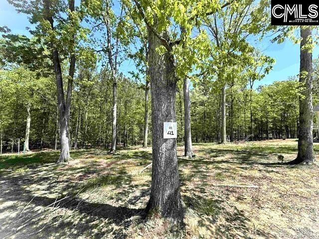 Property Photo:  41 Shoreview  SC 29127 