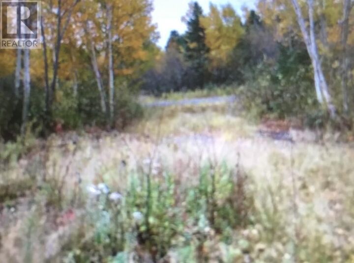Property Photo:  260A Main Street  NL A0G 2B0 