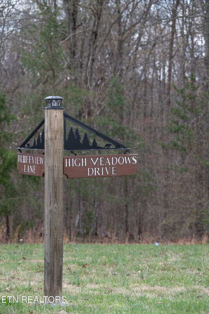 Property Photo:  0 High Mdw Drive  TN 38585 